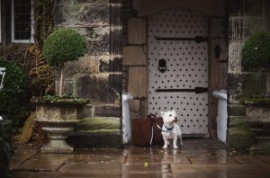 dog friendly hotel Yorkshire