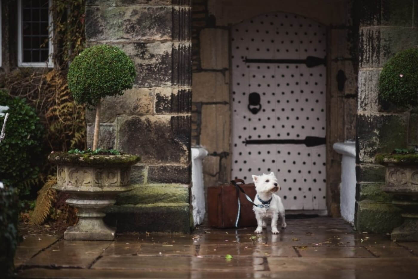 Dog-friendly stay at Holdsworth House with a small dog outside the historic front door